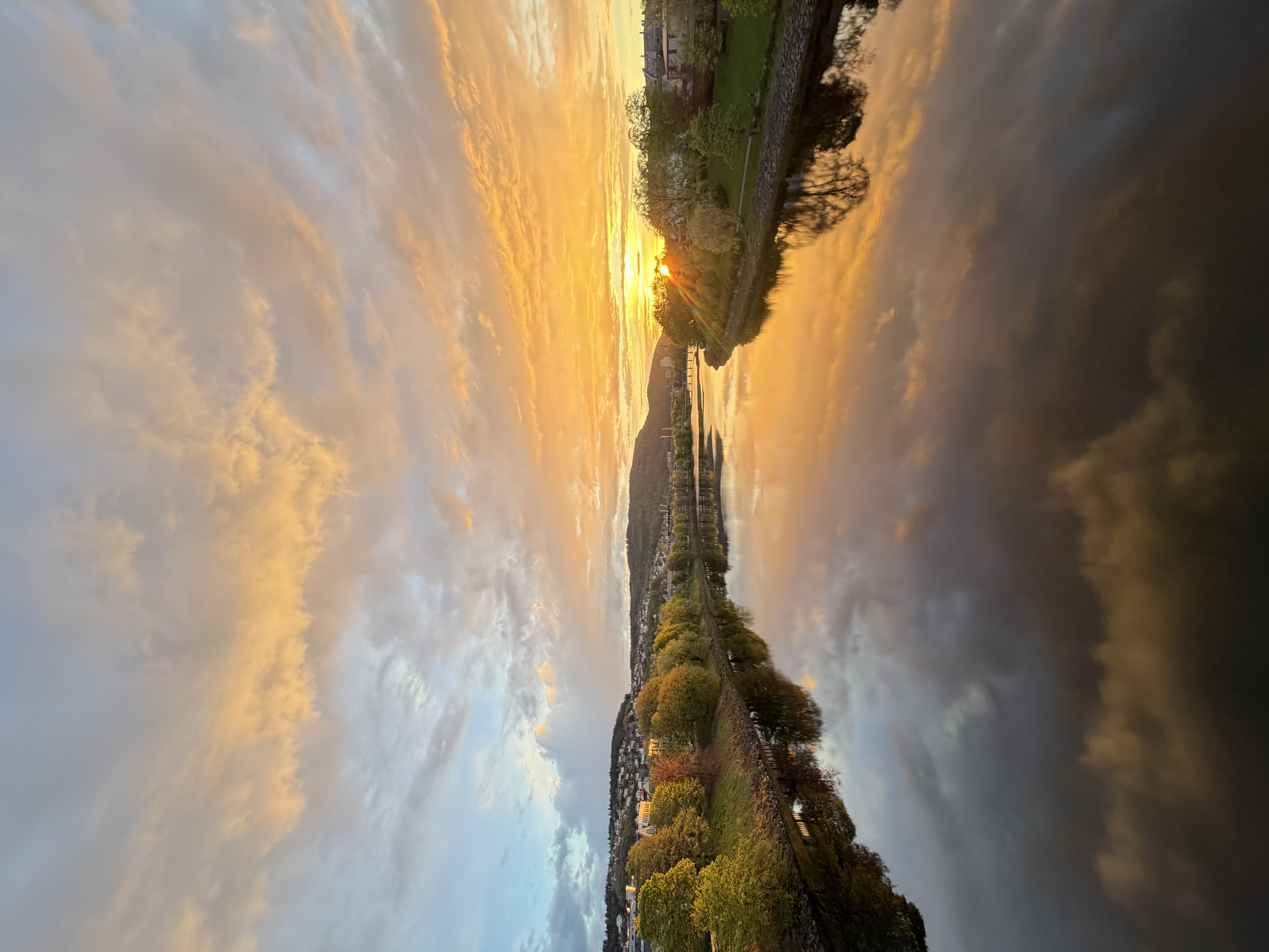 Nidelva, Trondheim